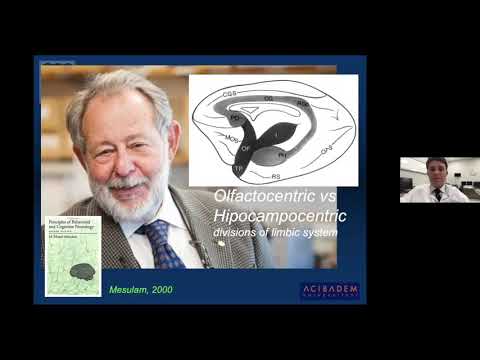 Extension Pattern of The Insular Gliomas - Koray Özduman ,M.D.