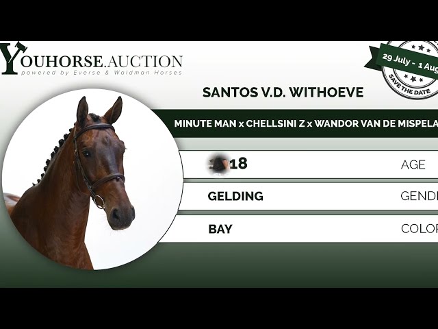 Santos vd Withoeve