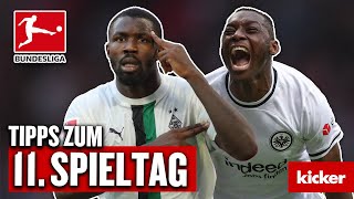Bundesliga, 11. Spieltag - Prognose: Tore satt bei Gladbach vs. Frankfurt | Das schnelle Orakel