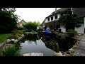Modern Koi Blog #1042 - Teich am Wald ohne Bodenabläufe Modern Koi Blog #1042 - Teich am Wald ohne Bodenabläufe