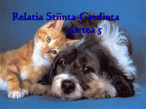 Relatia Stiinta Credinta partea 5