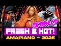 Amapiano Grooves 2025 Laho Ngibolekeni Dalie Ojapiano Tshwala Bam Jerusalema Mnike