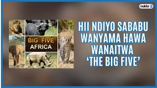 WAFAHAMU 'THE BIG FIVE' WA AFRIKA