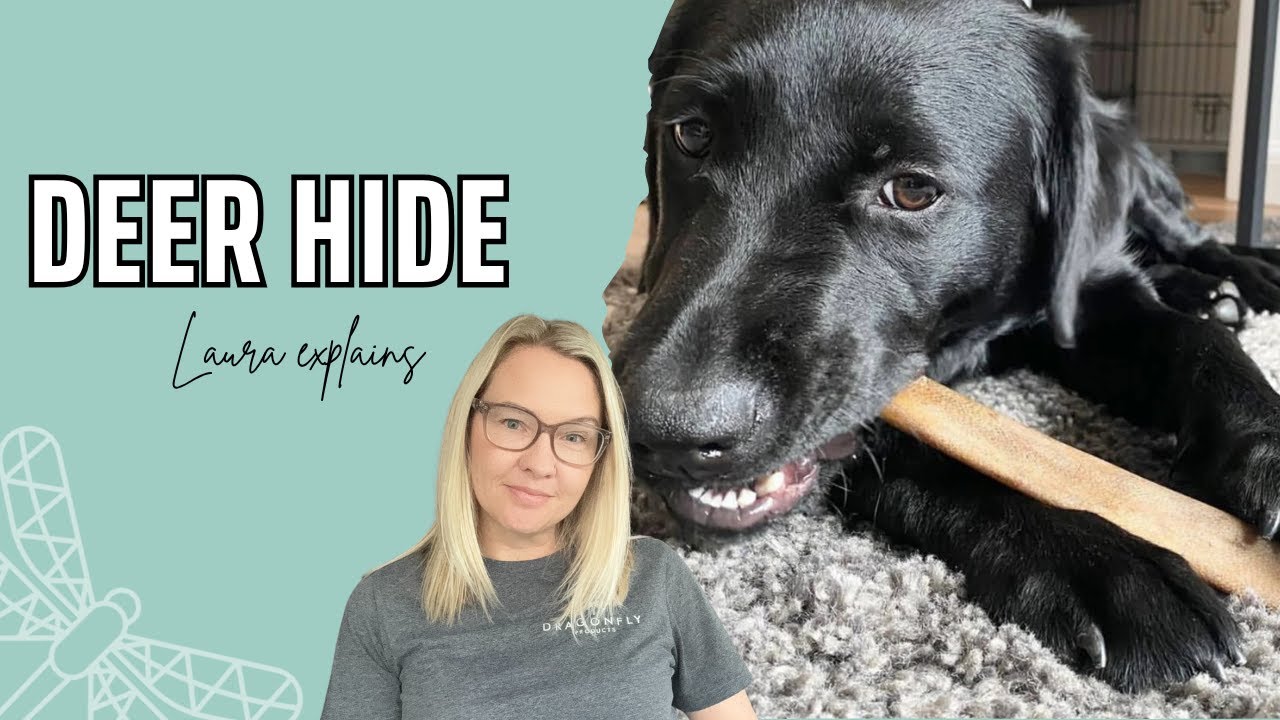 The Benefits of Deer Hide for Dogs | Video