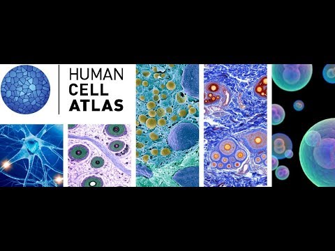 HCA Meeting - Broad Auditorium November 1