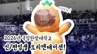 2026년 3월 둘째 주 마디영상 이미지