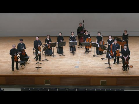 Vivaldi Violin Concerto La Stravaganza Op 4-4 a-moll RV357