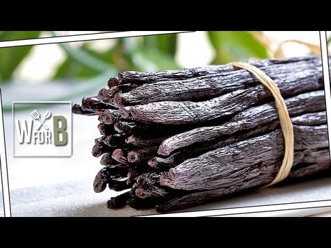 Vanilleschoten im Auto - Kochtipps von Steffen Henssler