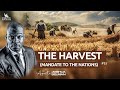 THE HARVEST - PART 1 (MANDATE TO THE NATIONS) ||  LEICESTER-UK || APOSTLE JOSHUA SELMAN