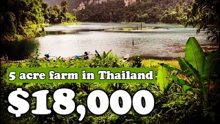 We bought a beautiful 5acre farm in Thailand for just $18,000 😱🌞🇹🇭