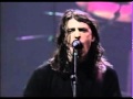 Foo Fighters - For All The Cows