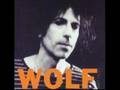 Peter Wolf - A Lot Of Good Ones Gone