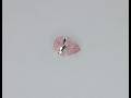 Morganite taglio a goccia, 0.67 ct Video 1