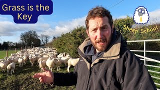 The Secret To Profit In Sheep Farming.
