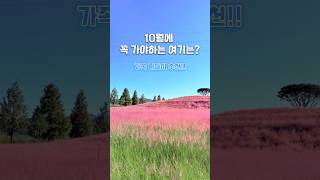 10월에 가족 , 연인과 함께 나들이가면 좋을 경남 합천에 위치한 신소양체육공원. 핑크뮬리와 인생샷 #가을여행 #대구근교 #경남투어