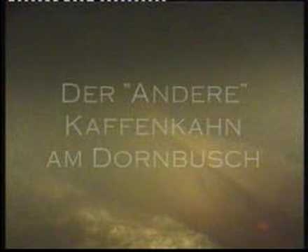 Werbellinsee - Am Dornbusch