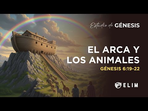 The Ark and the Animals | Genesis 6:19-22 | Bible Study