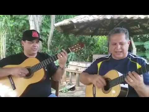 O GAVIÃO E A ANDORINHA -  Marcos Violeiro e Cleiton Torres