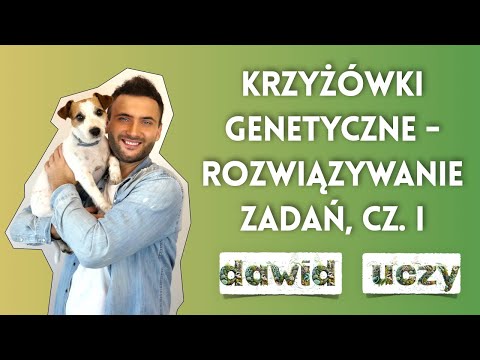 Krzyżówki genetyczne - rozwiązywanie zadań, część 1