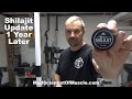 I Took Shilajit For A Year Here S What Happened