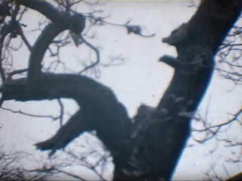 Aldbourne winter 1963