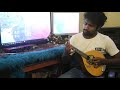 Sanda Panak Se Awidin Mandolin Cover