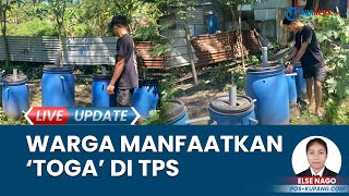 Manfaatkan Toga, Warga Oebufu Kupang Wujudlkan Lingkungan Bersih di Tempat Pembuangan Sampah