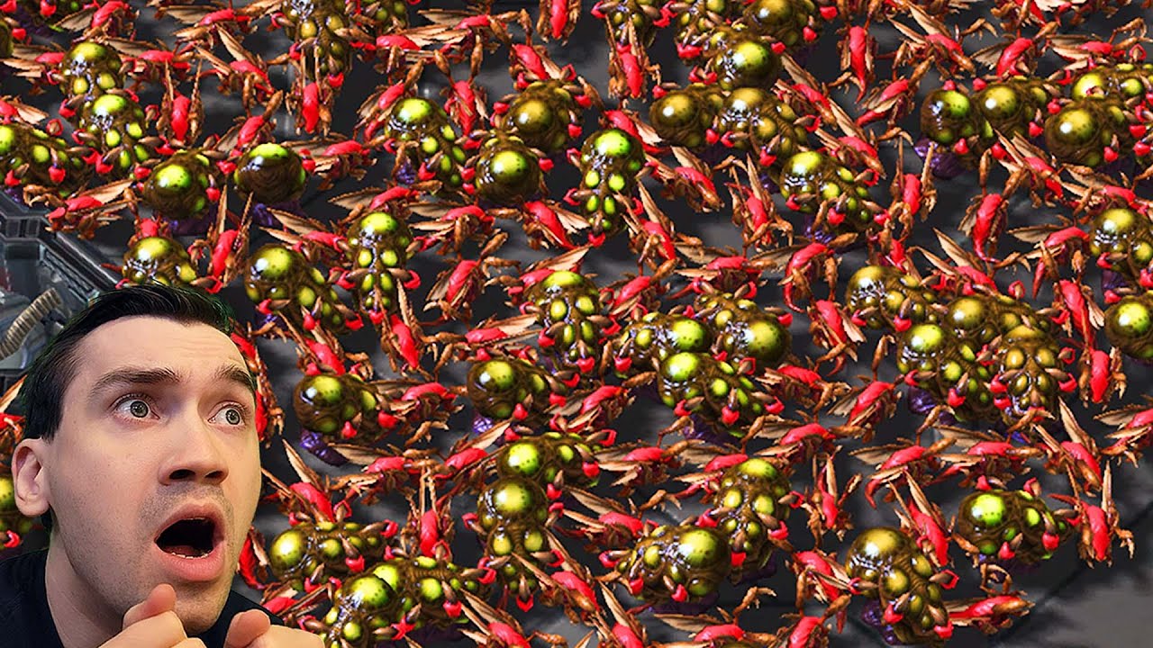 STARCRAFT 2 EXTREME SETTINGS - new pc stress test