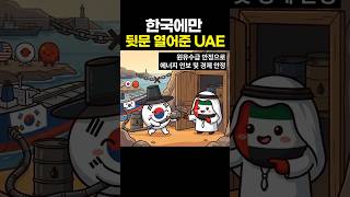 한국에만 뒷문 열어준 UAE!