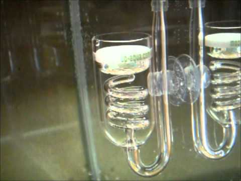 Watch Video on YouTube