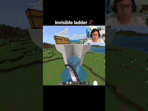Minecraft Invisible Ladder Moment