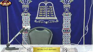 בית המדרש "תורת דוד" ¤ שידור חי ¤ ט"ו חשון תשפ"ו (6.11.2025) (מוסדות תורת דוד) - התמונה מוצגת ישירות מתוך אתר האינטרנט יוטיוב. זכויות היוצרים בתמונה שייכות ליוצרה. קישור קרדיט למקור התוכן נמצא בתוך דף הסרטון