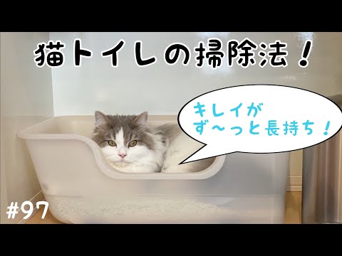 猫のトイレを移動する方法
