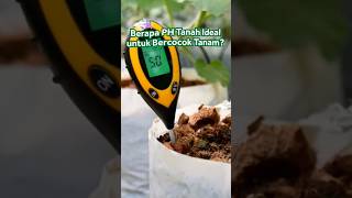 Download lagu PH Tanah Yang Ideal Cocok Untuk Tanaman Tumbuh Subur mp3