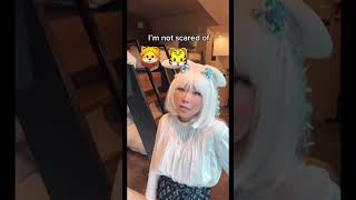 Missing the last train in Japan