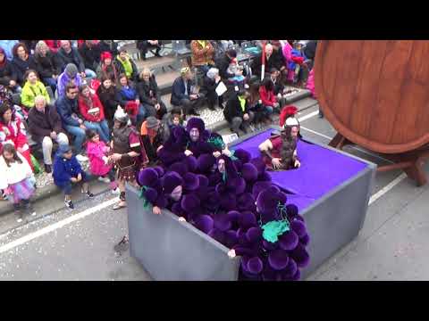 Não Precisa ( Ovar ) @ Carnaval de Ovar 2019 - Desfile de Domingo