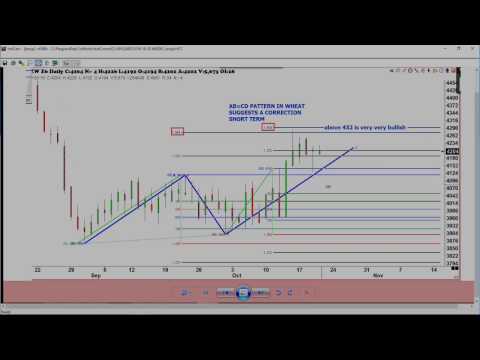 October 20th Trade What You See with Larry Pesavento on TFNN