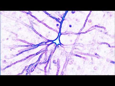 Muse vs. Depeche Mode ("Personal Uprising") - emgs413