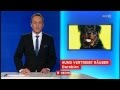 Rottweiler Rettet Junge Frau Vor Brutalem Raubüberfall ORF Bericht