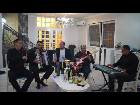 U gostima kod Momira - Branko Zlatarov - Limuzina