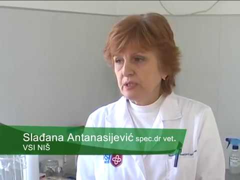 NAŠA SELA, LABORATORIJA, VSI NIŠ