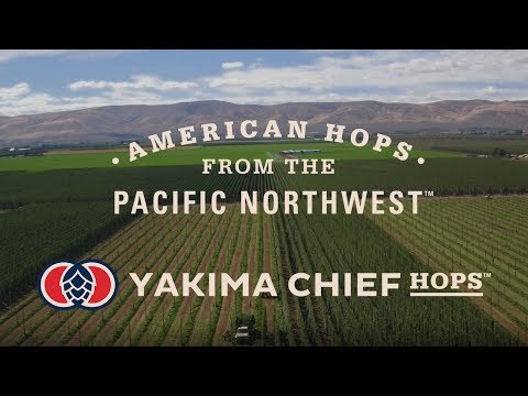 download lagu mp3 mp4 Ych Hops, download mp3 Ych Hops free download mp3, download mp3 Ych Hops