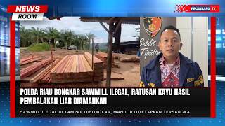 Ratusan Kayu Hasil Pembalakan Liar Diamankan