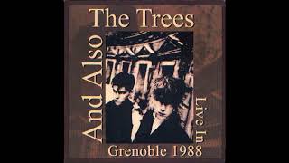 14-And Also The Trees-Maps In Her Wrist and Arms-Live-1988-06-05: Live in Grenoble: Drac West-France