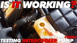 How to Check Intercooler Pump Terminator Cobra