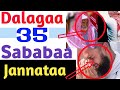 Dalagaa 35 Sababaa Jannataa | Jannata Argachuuf