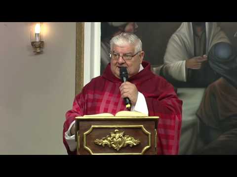 Homilia Pe. Guido Mottinelli, rcj - 28/06/17 - Cuidado com os falsos profetas