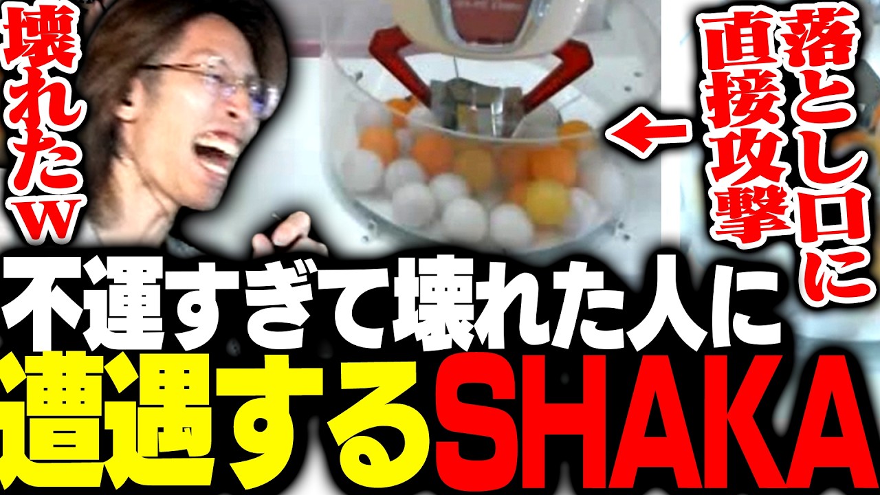 不運すぎて完全に壊れたハイエナ相手を思わず応援してしまうSHAKA