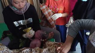Download lagu pengorbanan melahirkan baby 4 KG,, tanpa jahitan, thx Allah,, ini anak q yg nemani aq d penjara,, mp3