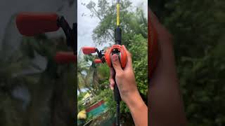 Download lagu #fishing #nature #tomanmonster #fishinglife #ikantoman #fishingvideo #haruan #ikanharuan mp3